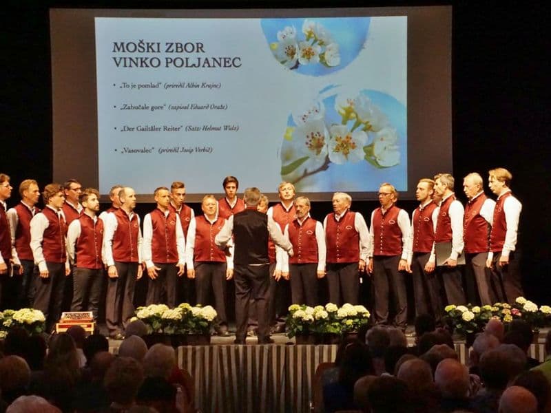 Vinko Poljanec 2019
