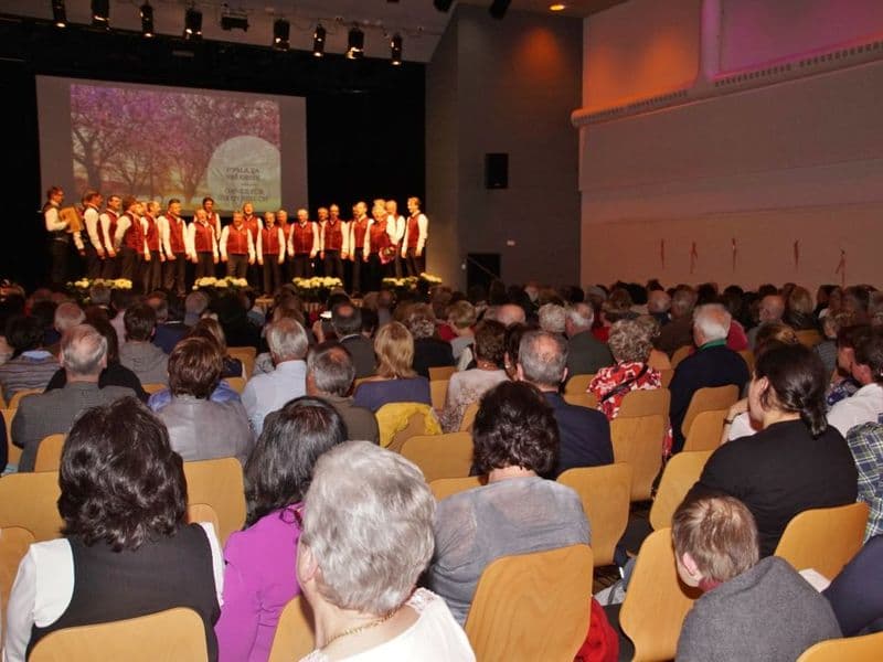 Vinko Poljanec 2019 – Foto 21